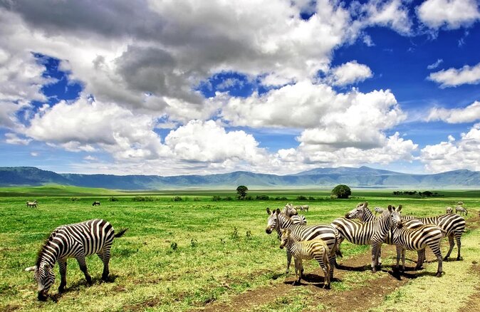 9 days, 8 nights budget Kenya and Tanzania safari - Why this itinerary works so well (even on a budget)