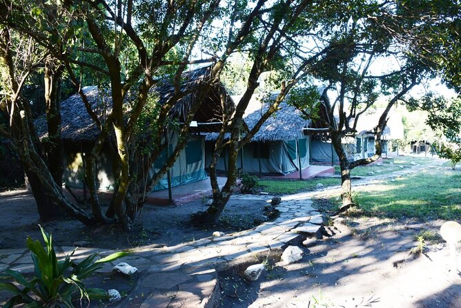 9 days, 8 nights budget Kenya and Tanzania safari - Day 3: Maasai Mara to Naivasha, boat ride for hippos and birds