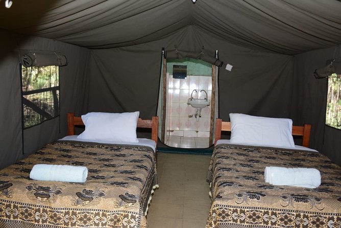 9 days, 8 nights budget Kenya and Tanzania safari - Day 5: Lake Manyara, camp setup with a chef, and big bird energy