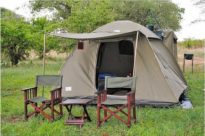 9 days, 8 nights budget Kenya and Tanzania safari - Day 7: Another full Serengeti day so sightings have time to happen
