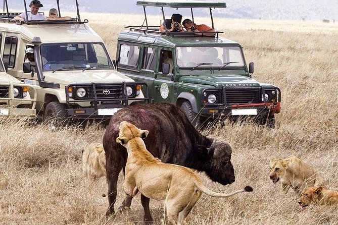 9-Days Best of Kenya Wildlife Private 4X4 Jeep Safari - Maasai Mara Days 1-2: Two Big Wildlife Blocks in the Mara