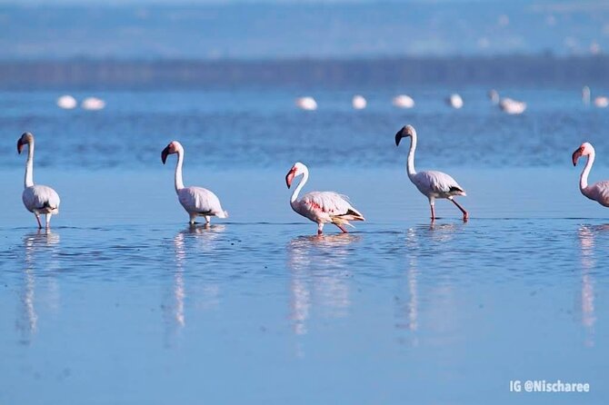 9- Days Classic Kenya Family Safari - A 9-Day Kenya Family Safari That Feels Less Like a Whirlwind