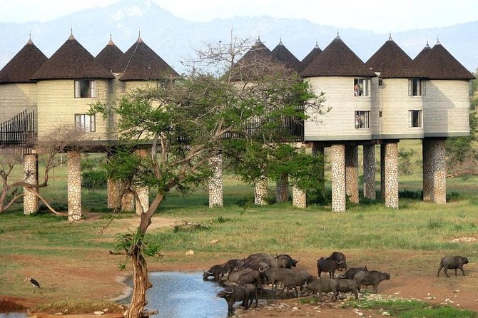 9 Days Kenya Classic Lodge Safari - Lodge comfort and the included meals that keep you steady