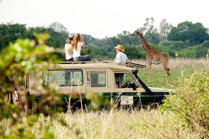 9 Days Kenya Classic Lodge Safari - Nairobi pickup and the 7:00am start reality