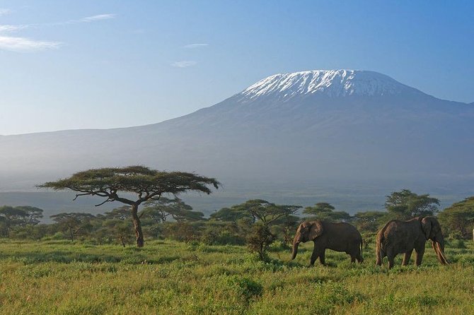 9 Days Samburu- Nakuru- Mara-Naivasha- Amboseli Wild Safari - Day 6: Naivasha road trip, optional boat ride, and a calmer lake day