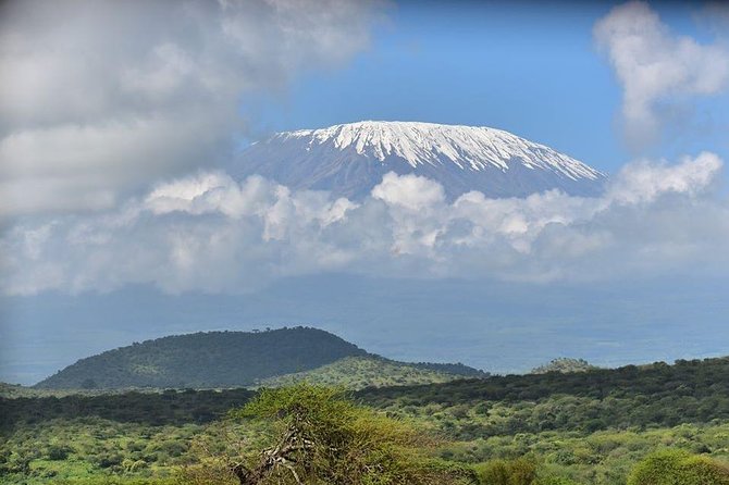 9 Days Samburu- Nakuru- Mara-Naivasha- Amboseli Wild Safari - Day 9: Morning game drive in Amboseli, then back to Nairobi
