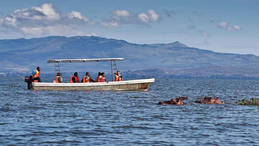 A day tour; Lake Nakuru national park& L. Naivasha Boat ride - White Rhinos Up Close, Plus Eagle Moments You Might Not Expect