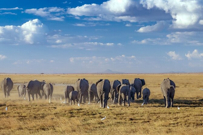 A thrilling Kenya 4 Days Adventure: Masai Mara &Lake Nakuru - Day 3: Leaving the Mara for Lake Nakuru, With Culture in the Middle