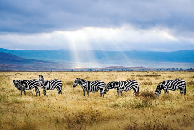 A thrilling Kenya 4 Days Adventure: Masai Mara &Lake Nakuru - Lake Nakuru Day 4: Flamingos, Rhinos, and a Morning-Light Game Drive