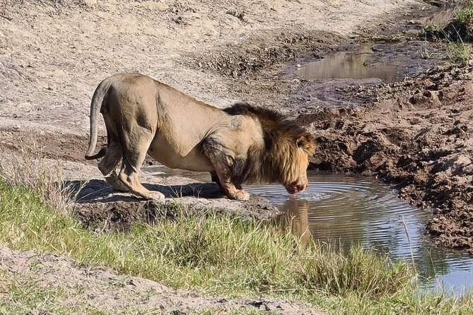 A thrilling Kenya 4 Days Adventure: Masai Mara &Lake Nakuru - How Often Will You See the Big Stuff?