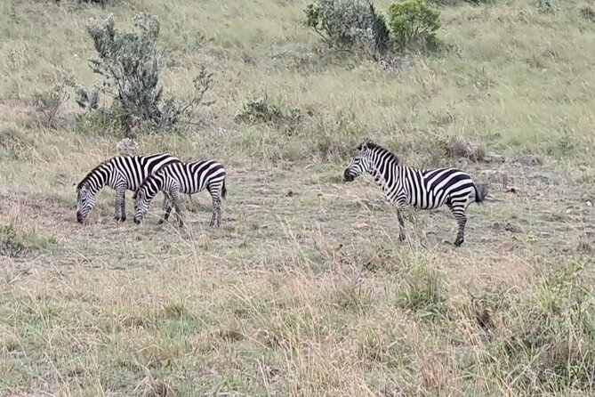 A thrilling Kenya 4 Days Adventure: Masai Mara &Lake Nakuru - Guides, Vehicles, and Small Group Energy (Why It Matters)