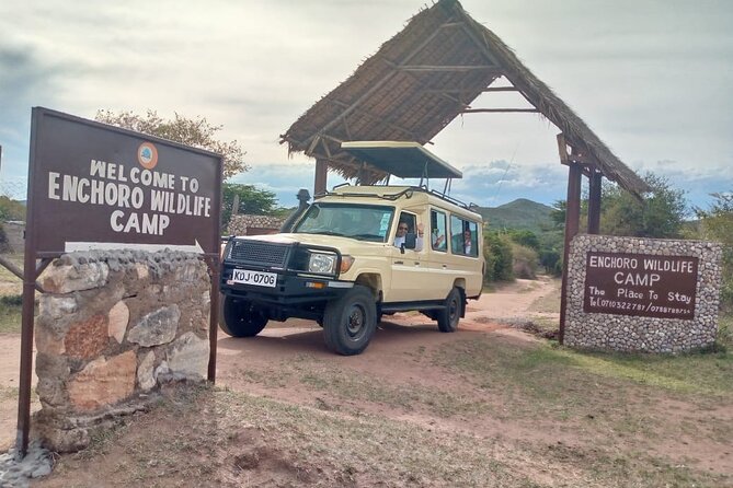 Adventure-fueled 3 Days Maasai Mara Safari - Price and value: what $1,176.48 buys you in real safari terms