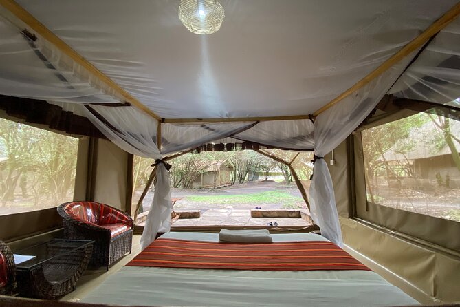 Adventure-fueled 3 Days Maasai Mara Safari - Logistics that matter: group size, mobile ticket, and a smooth Nairobi start