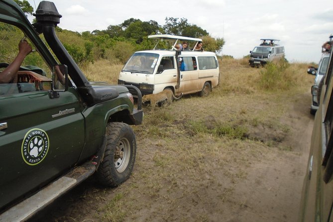 African Wildlife & Nature - 5 Kenya national parks - 6 day Jeep Safari - Mzima Springs and Amboseli: hippos up close, plus Kilimanjaro vibes