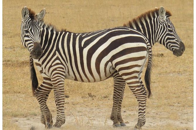 African Wildlife & Nature - 5 Kenya national parks - 6 day Jeep Safari - Maasai Mara full-day game viewing, Mara River drama included