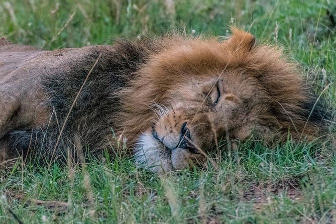 African Wildlife & Nature - 5 Kenya national parks - 6 day Jeep Safari - Price and logistics: does $3,660 buy you real value here?