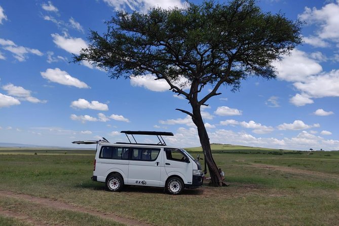 Afternoon half day mini safari to Nairobi National Park - Guide quality, like Black Santa and the value of patience