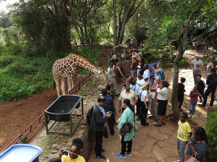 All-Inclusive: Giraffe Centre & Kazuri Beads Factory Visit - The part you might not predict: how long you really spend there