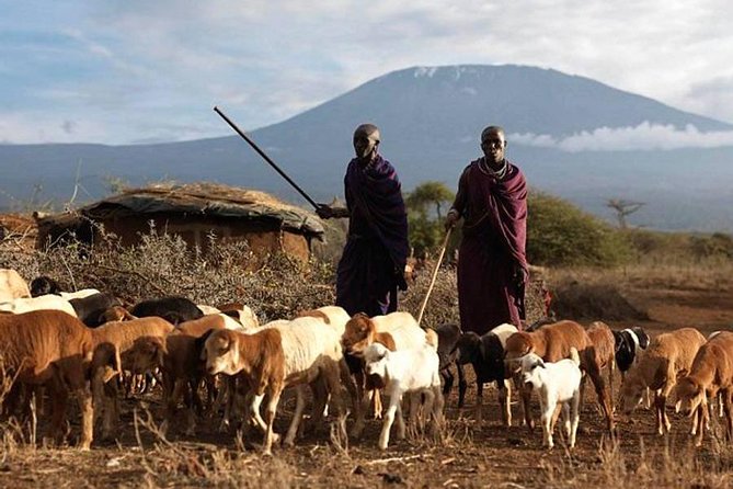 Amboseli Day Tour from Nairobi - Key things to know before you go