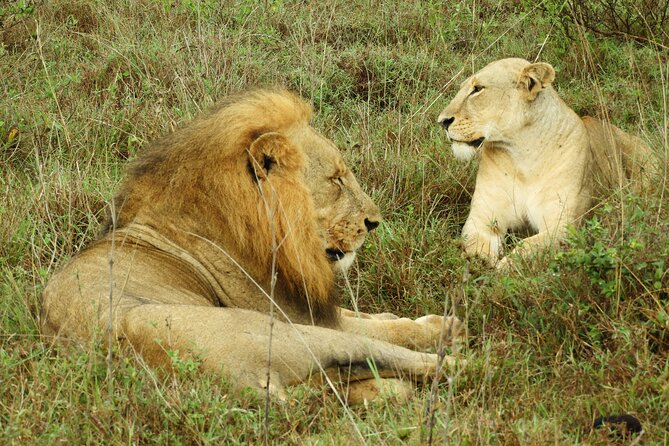 Amboseli Day Tour from Nairobi - The Masai community visit: optional, and worth confirming in advance