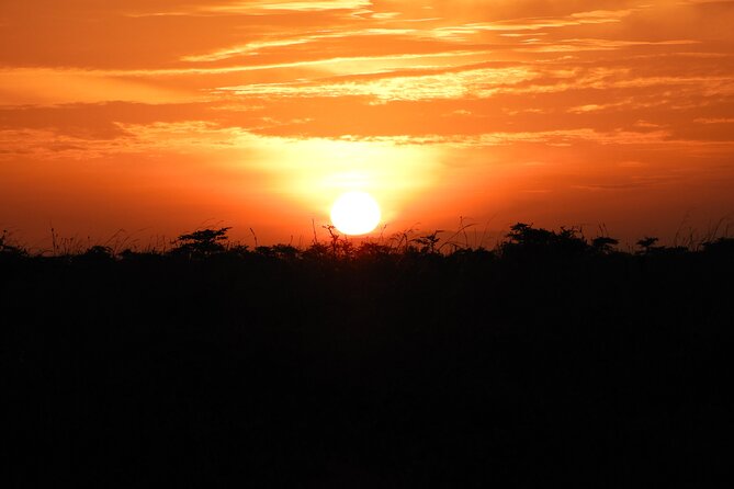 Amboseli Day Tour from Nairobi - Nairobi logistics: pickup time, drive time, and what a “long day” really means