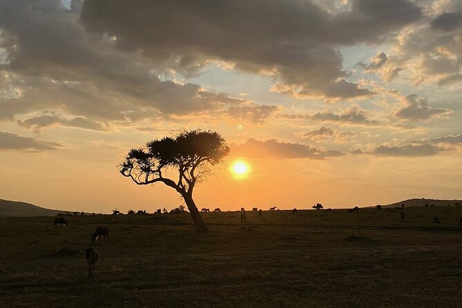 Amboseli day trip with pick up - The 5am pickup and the Nairobi to Amboseli sunrise run