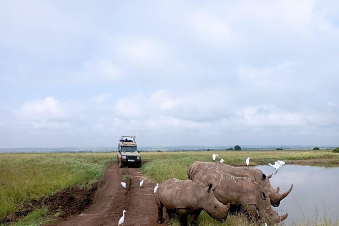 Amboseli day trip with pick up - Maasai village visit: culture as a real add-on, not a side quest
