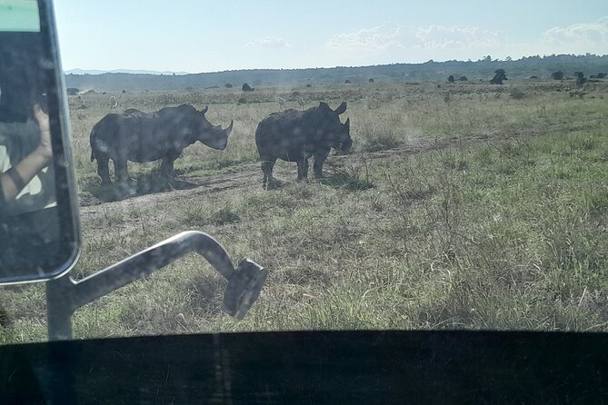 Amboseli day trip with pick up - Guides and drivers: what good safaris feel like in the field
