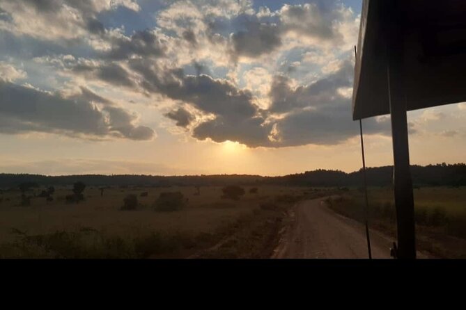 Amboseli Day Trip with Pickup - Who this Amboseli day trip is best for