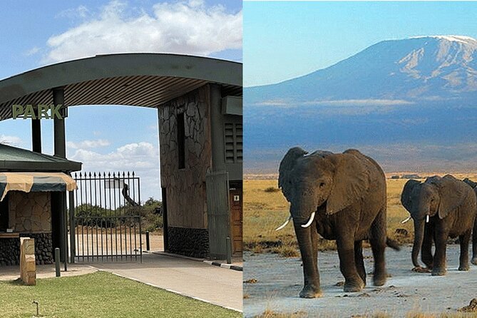 Amboseli National Park Day tour; Free Wifi Connection - The Kilimanjaro View Moment You Came For