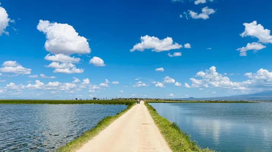 Amboseli National Park Day Trip and Maasai Village Visit - Price and logistics, whether $194 is good value
