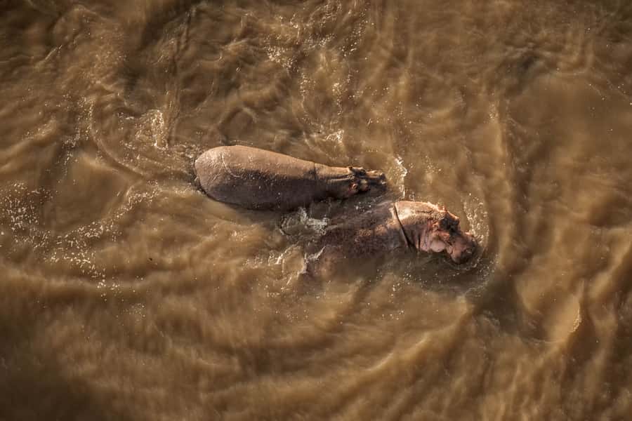 Amboseli National Park Day Trip from Nairobi - Key things that make this trip worth your time