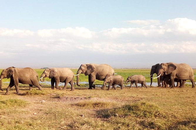 Amboseli National park Day trip:Mt kilimanjaro Views - Getting There: The 3.5 Hour Drive Through Maasai Land