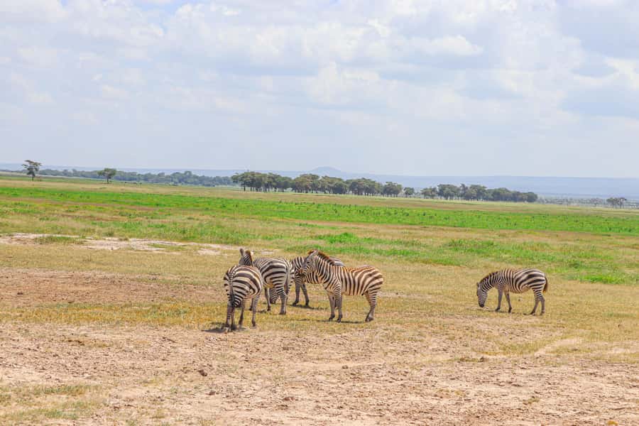 Amboseli National Park: Daytrip from Nairobi in a 4X4 Jeep - On the road in Maasai territory, and how to handle those greetings