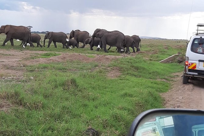 Amboseli National Park Full Day Guided Tour - Should You Book This Amboseli Full Day Guided Tour From Nairobi?