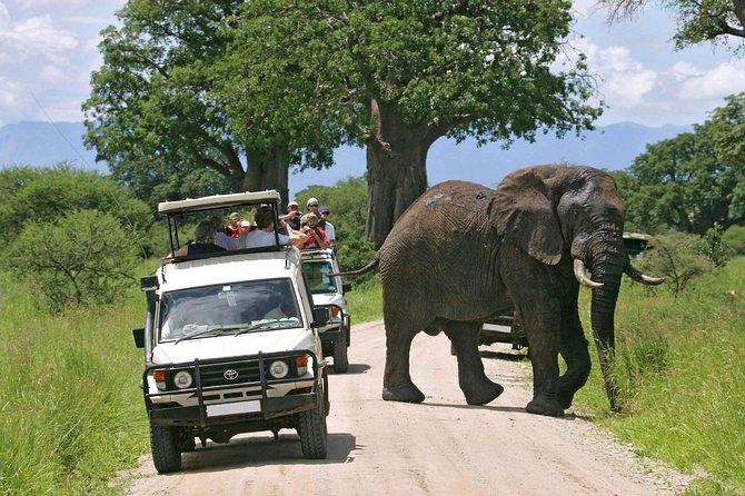 Amboseli National Park: Guided Full Day Tour - Quick Takeaways Before You Go