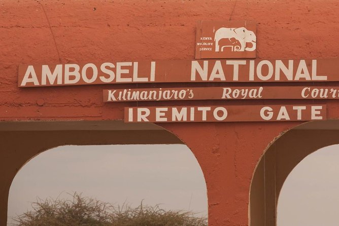 Amboseli Park & Kilimanjaro views Day tour - Should you book the Amboseli and Kilimanjaro views day tour?