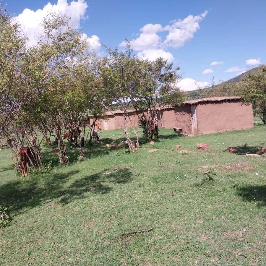 Amboseli Wildlife Day Tour And Masai Village Visit - Key things to know before you go