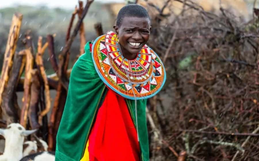 Amboseli Wildlife Day Tour And Masai Village Visit - Masai village visit: traditions, fire-making, and dance you can join