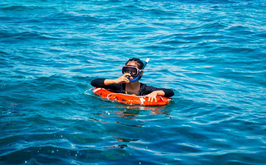 Blue Safari: Snorkeling at Watamu Marine Park & Seafood - Key things to know before you go