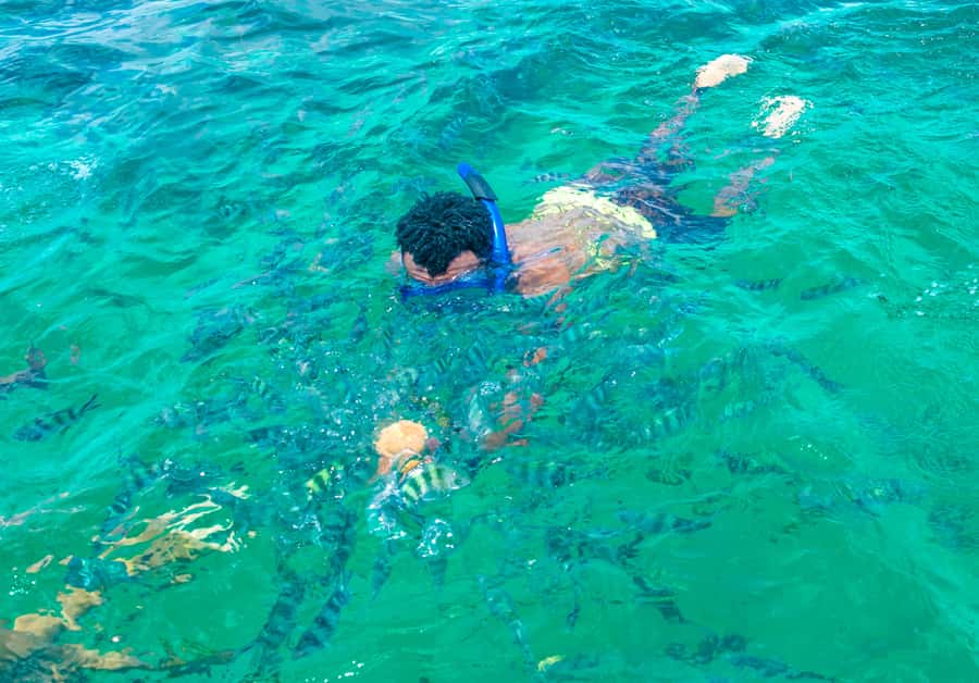 Blue Safari: Snorkeling at Watamu Marine Park & Seafood - Watamu Marine Park snorkeling: what the day is really about