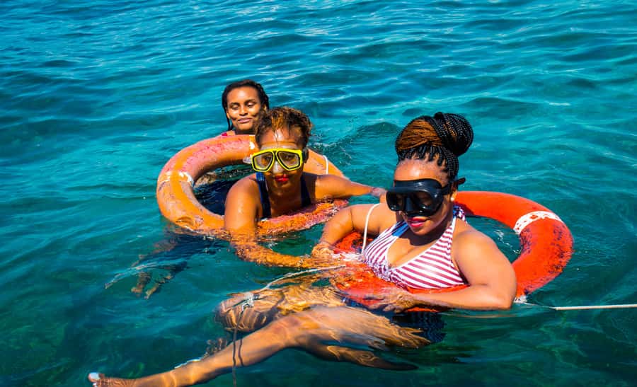Blue Safari: Snorkeling at Watamu Marine Park & Seafood - Dolphin spotting: the months that make the difference