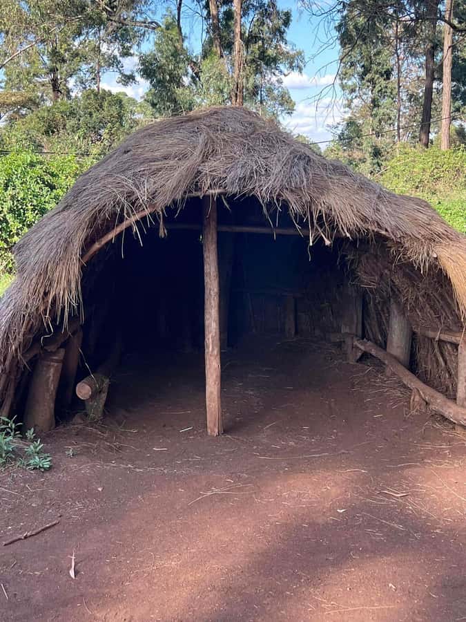 Bomas Of Kenya Cultural Experience - Price and Value: Is $62 Worth It?