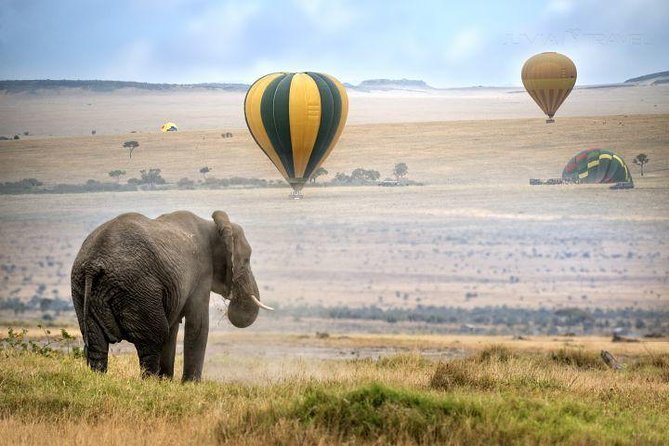 Classic Best Adventure In Kenya And Tanzania 2025 - Serengeti and Ol Duvai Gorge: From Cradle of Mankind to Big Cat Country