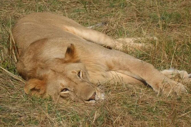 Classic Best of Kenya - Maasai Mara Start: Nairobi Arrival and Your First Hotel Night