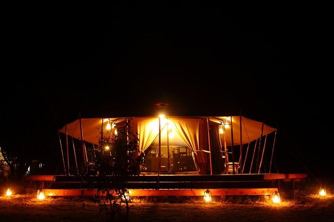Classic Luxury 4 X 4 Masai Mara Safari - Day 2 full-day game drive: picnic lunch in the wild and the big-cat odds