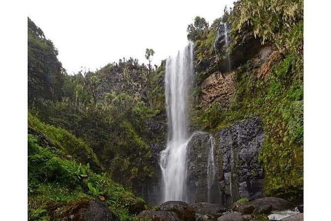 Climbing Mount Kenya 5 Days Via Chogoria Route - Day 4: 3:00 am sunrise at Point Lenana, then Shimpton’s camp to Old Moses