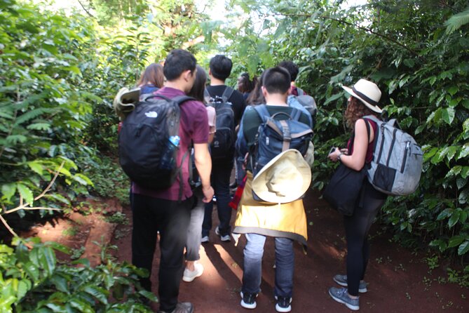 Coffee farm tour, coffee roasting and tasting experience - Should You Book This Nairobi Coffee Farm Tour?