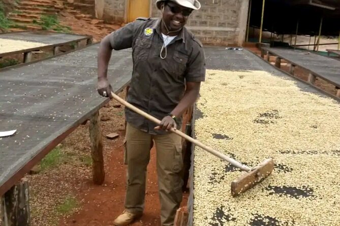 Coffee farm tour, coffee roasting and tasting experience - FAQ