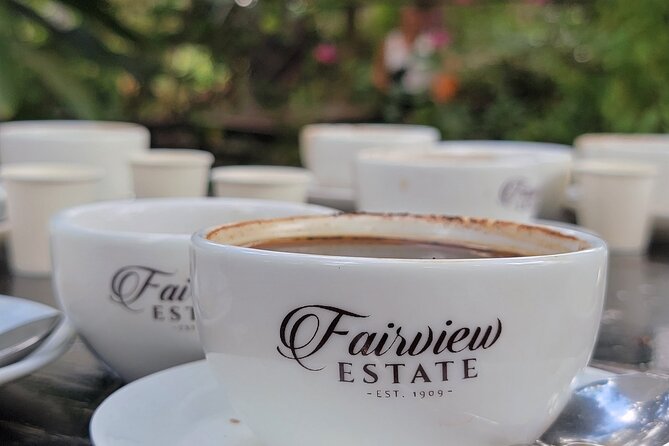 Coffee Farm Tour (Fairview) - Fairview Coffee Estate in Kiambu: what you’re really paying for